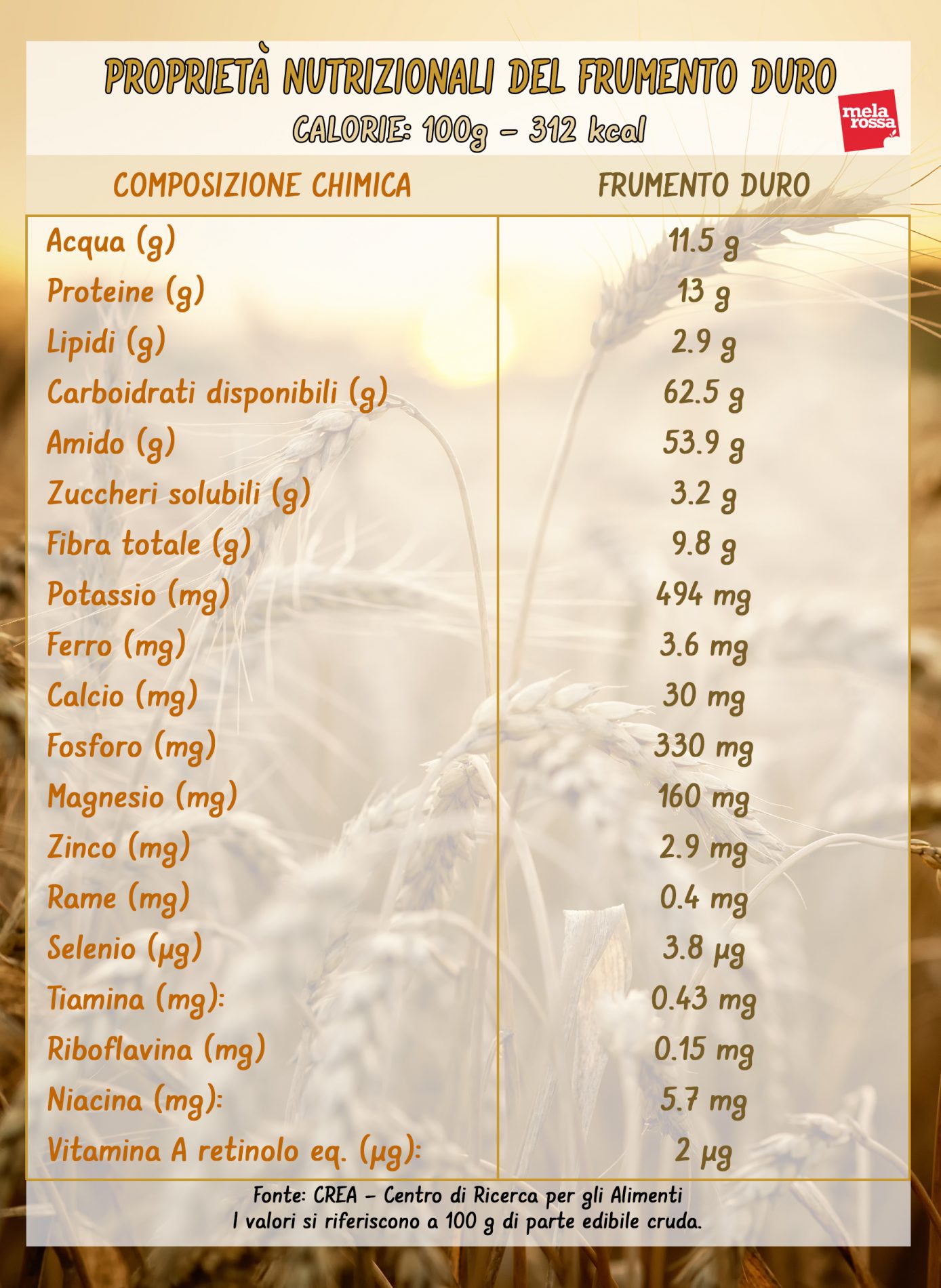 frumento duro: valori nutrizionali