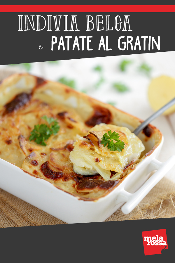 indivia belga e patate al gratin