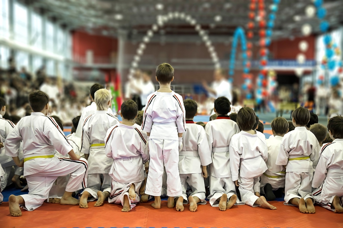 karate sportivo