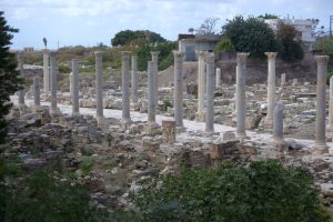 Libano: dalla valle della Bekaa a Tiro