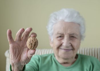 Le noci possono rallentare il declino cognitivo negli anziani a rischio