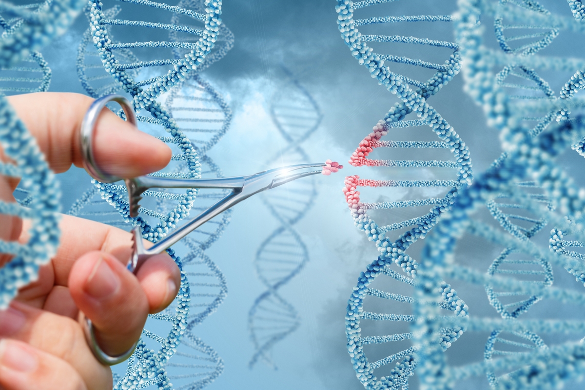 ricerca dna