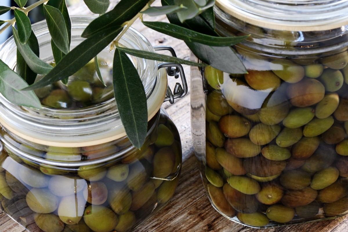 ricetta olive in salamoia
