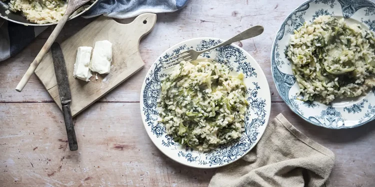 due piatti con bordi colorati con risotto di scarola, tovagliolo e forchetta