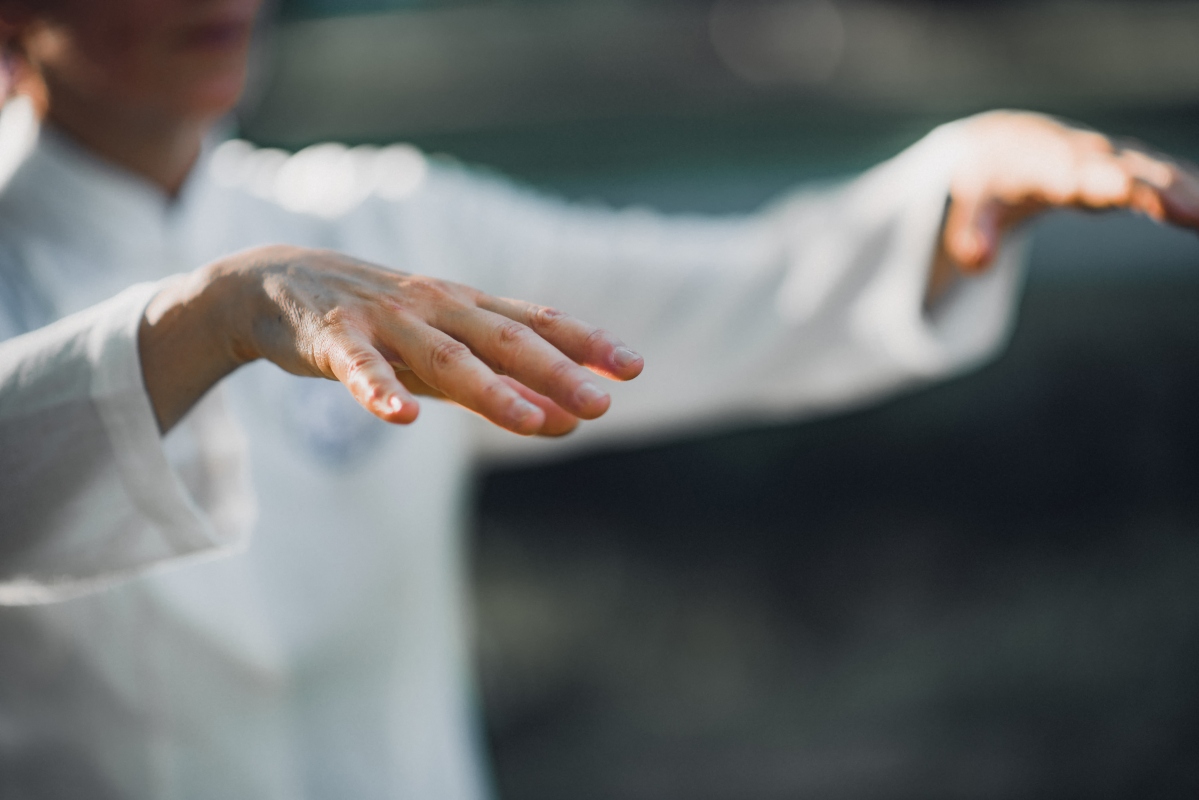 differenza tra tai chi e qi gong