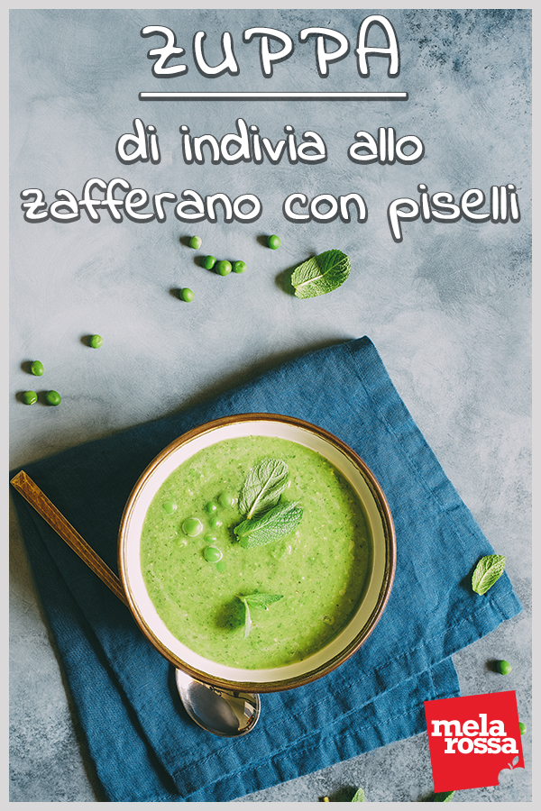 zuppa indivia