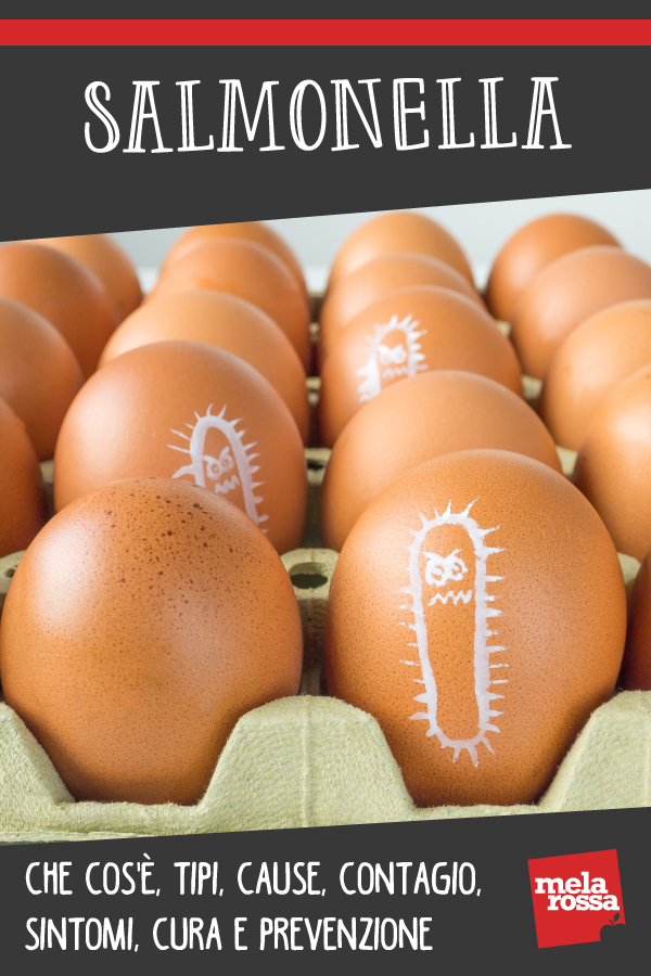 salmonella: tipi, cause, contagio, sintomi e cure