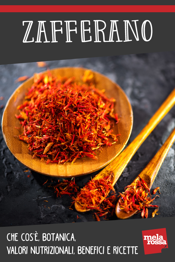Zafferano: cos'è, botanica, storia, valori nutrizionali, benefici e ricette