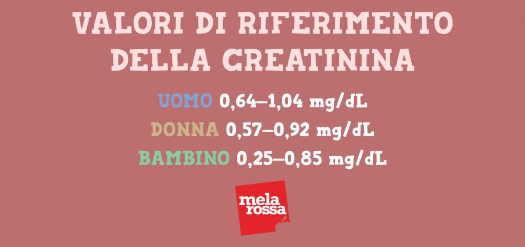 analisi del sangue:valori di riferimento per la creatinina 