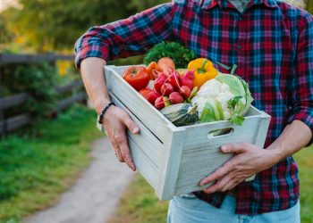 Mangiare bene fin da giovani migliora la fertilità maschile