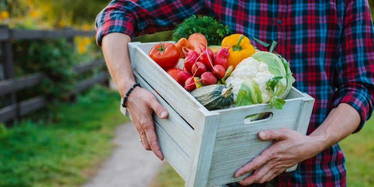 Mangiare bene fin da giovani migliora la fertilità maschile