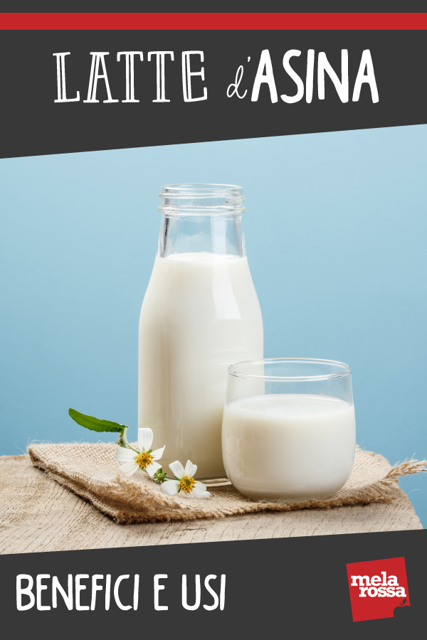 latte d'asina: benefici per salute e bellezza