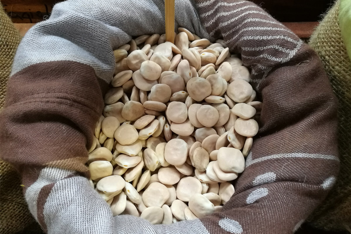 Lupini consigli acquisto consumo