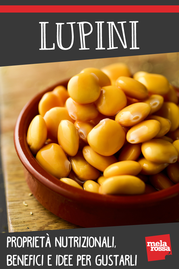lupini: proprietà, benefici, come gustarli
