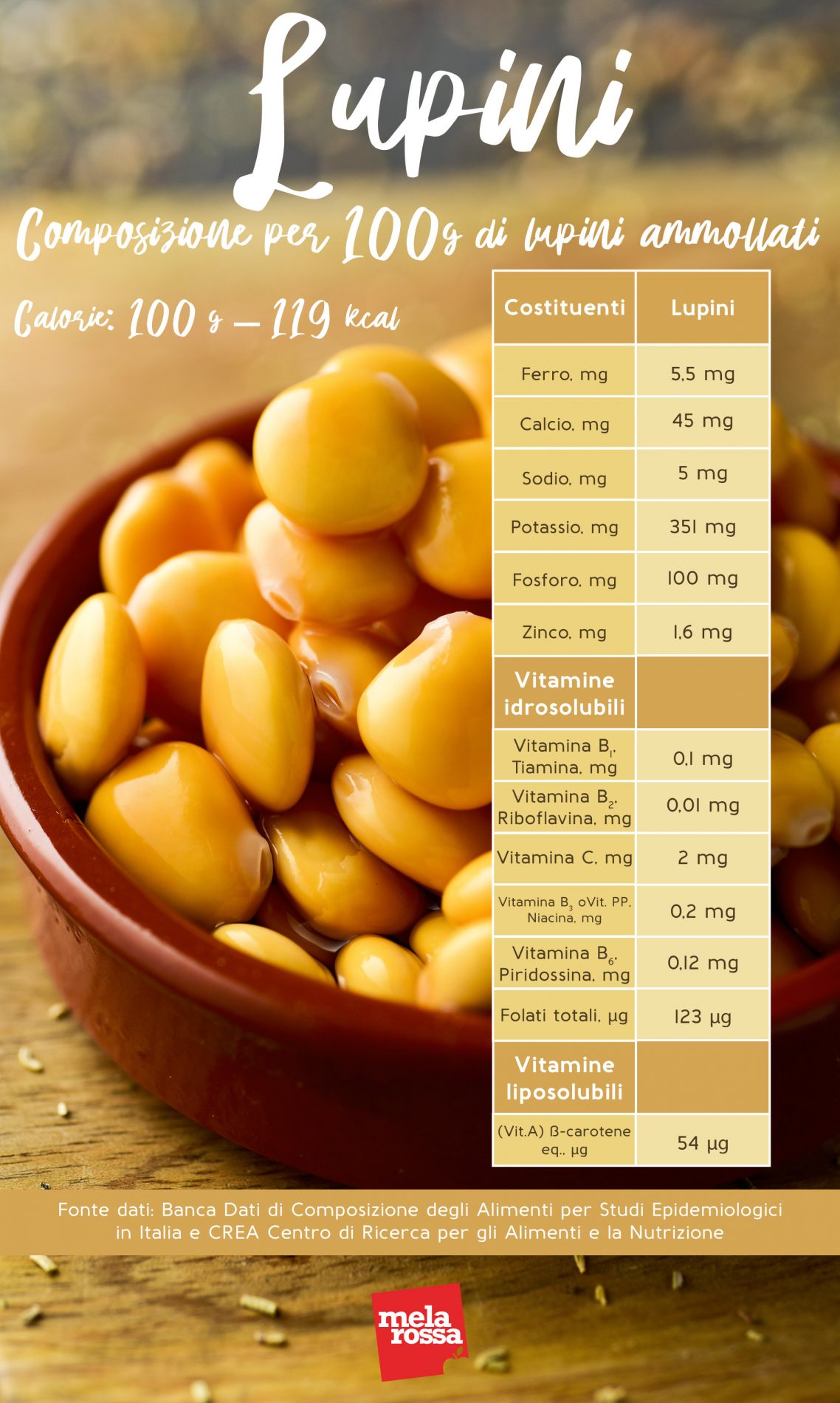 lupini: proprietà nutrizionali