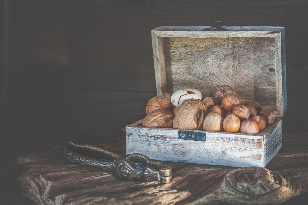 noci di macadamia: varietà