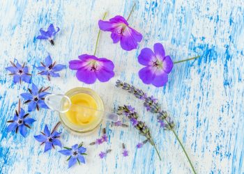 pappa reale: cos'è, benefici, valori nutrizionali e usi in cosmesi