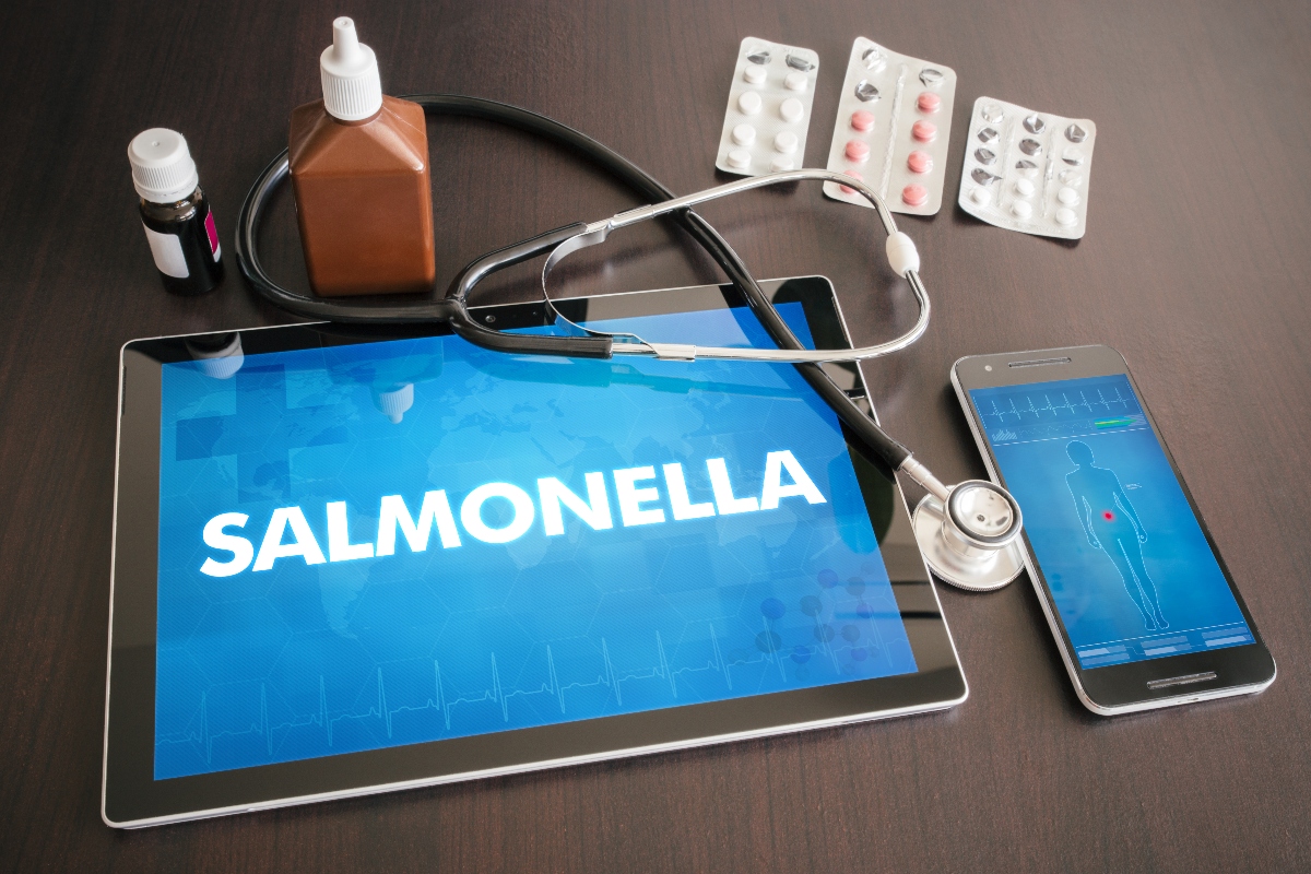 salmonella- diagnosi