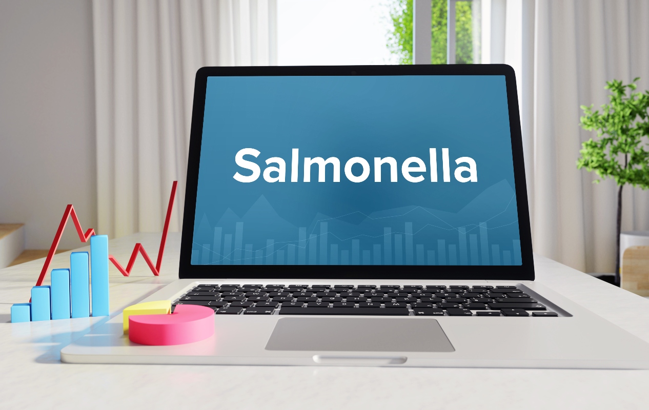 salmonella: epidemiologia