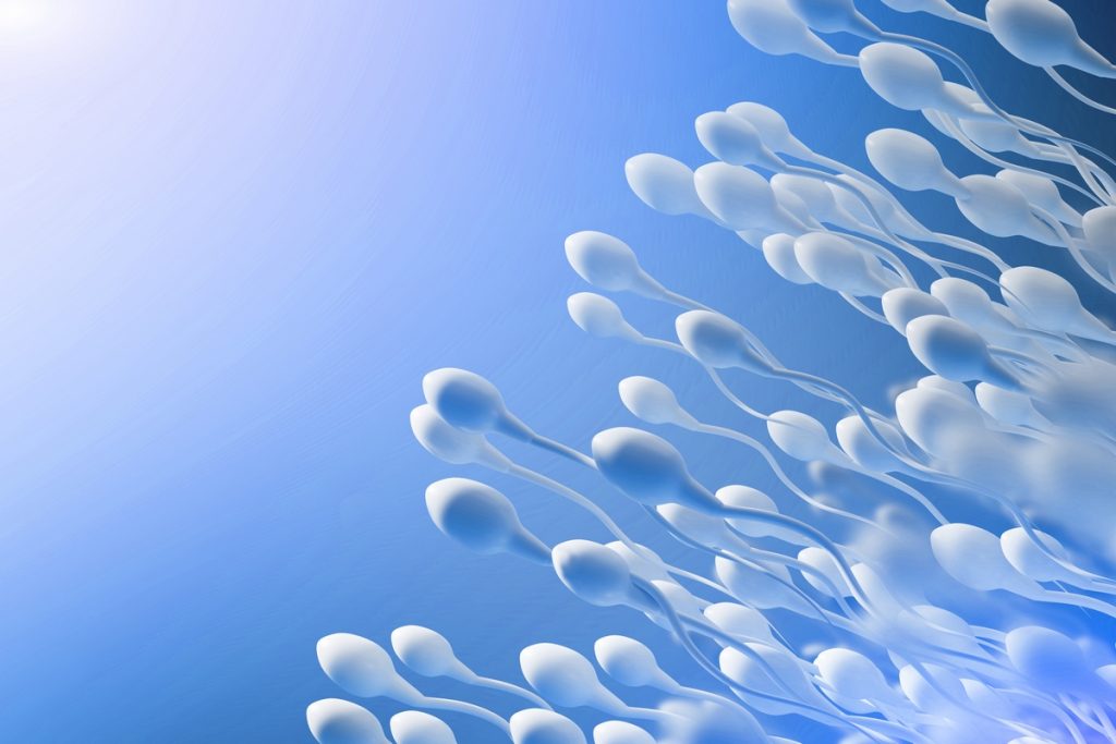 Frutta, verdura, pesce e cereali integrali per migliorare la fertilità maschile