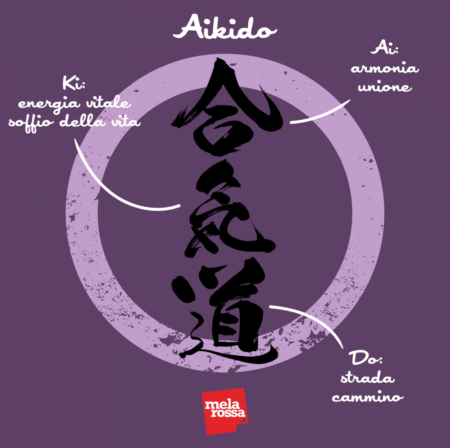 aikido: significato