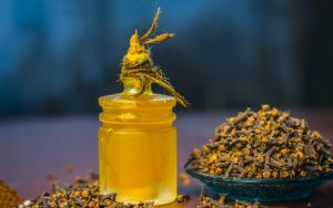 Chiodi di garofano: proprietà, benefici e usi