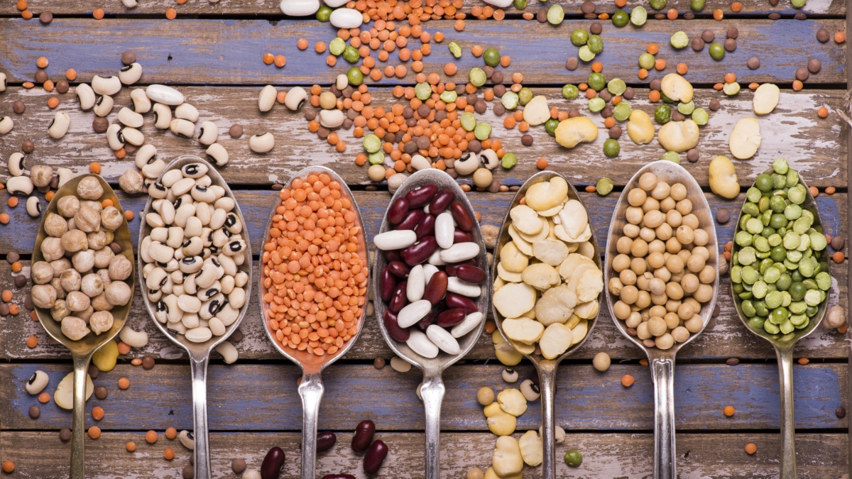 cicerchia: valori nutrizionali