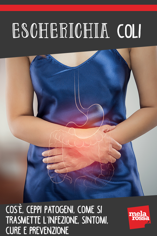 Escherichia coli ceppi patogeni sintomi cure prevenzione