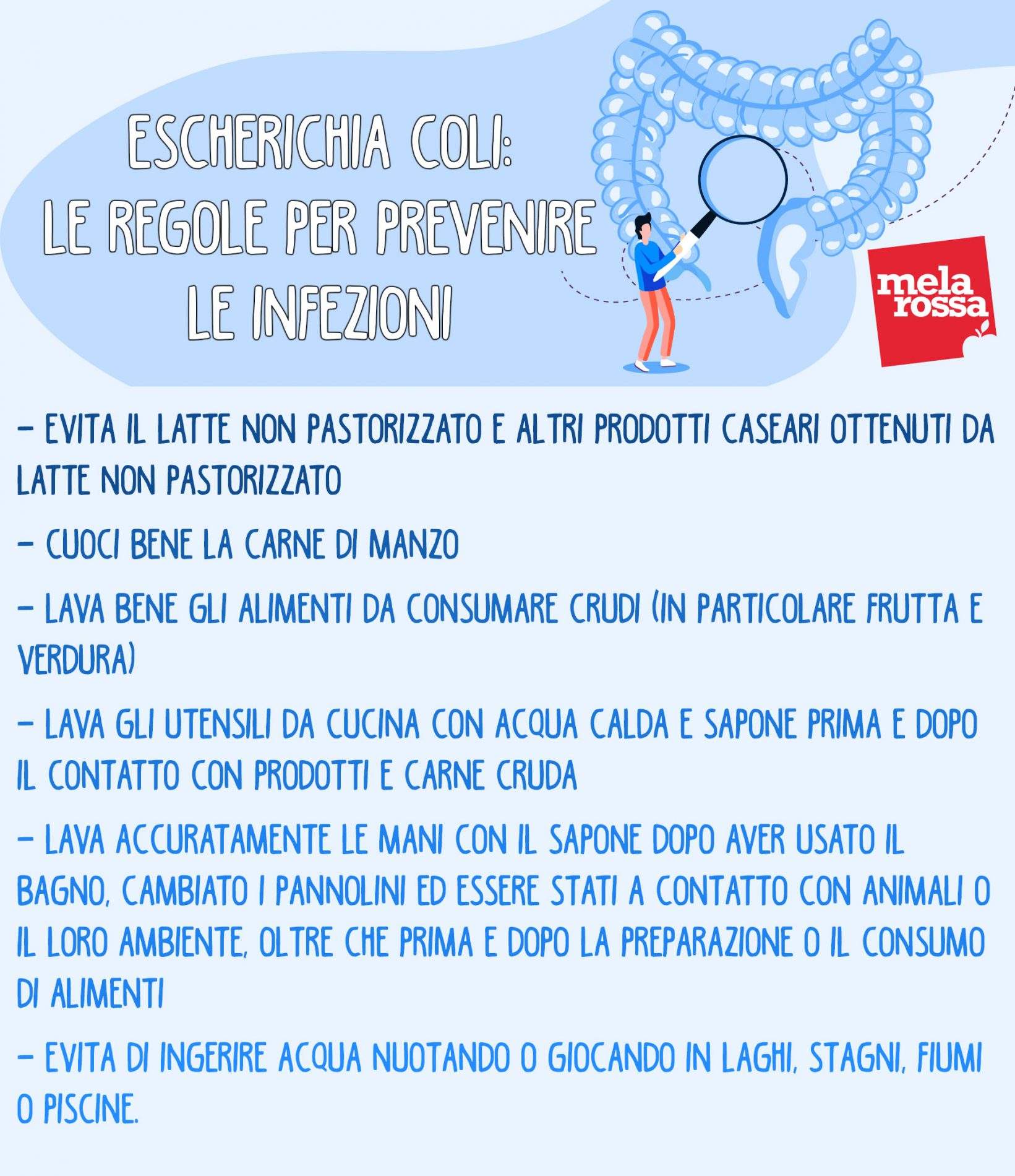 Escherichia coli regole per prevenire infezioni