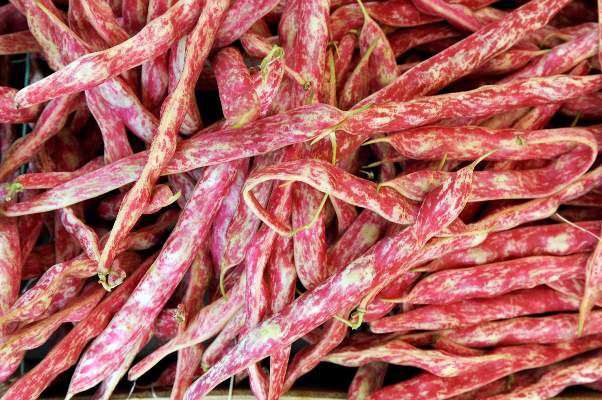 fagioli di Lamon