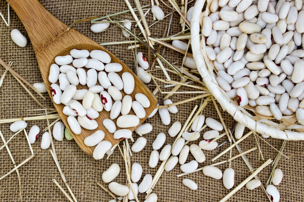 fagioli in Italia 