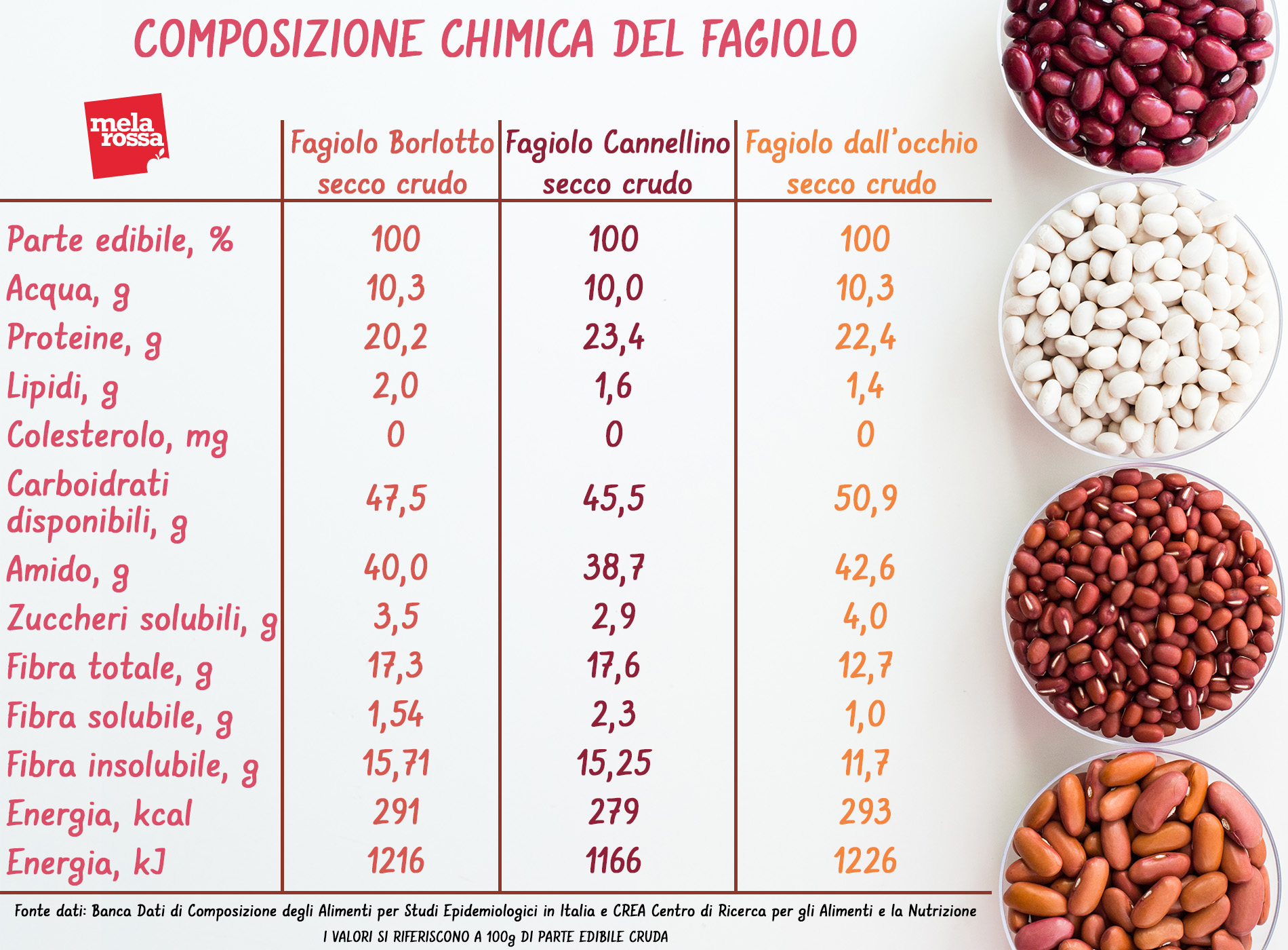 composizione dei fagioli