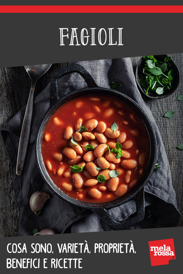 Fagioli: cosa sono, benefici, proprietà nutrizionali, controindicazioni, varietà e rictte