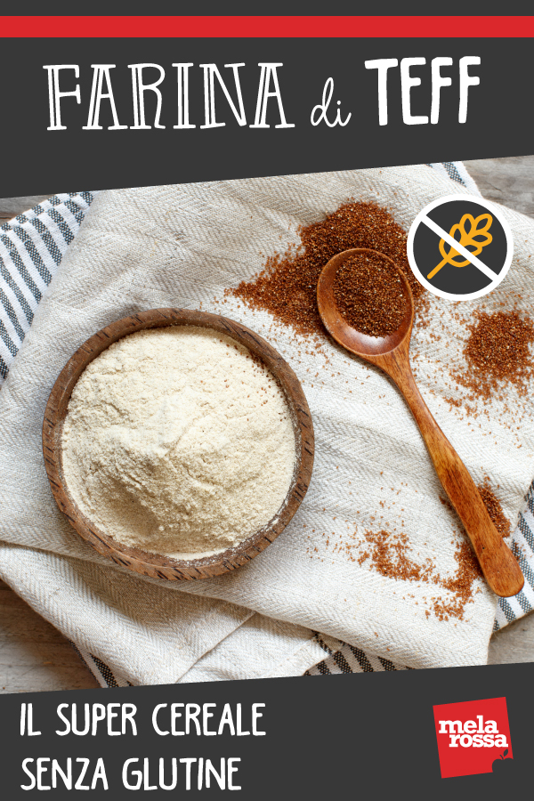 farina di teff per i celiaci