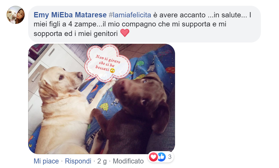 #lamiafelicità emi matarese