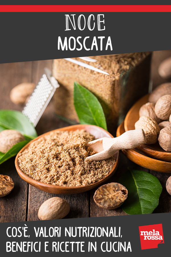 noce moscata: cos'è, valori nutrizionali, benefici, controindicazioni e ricette