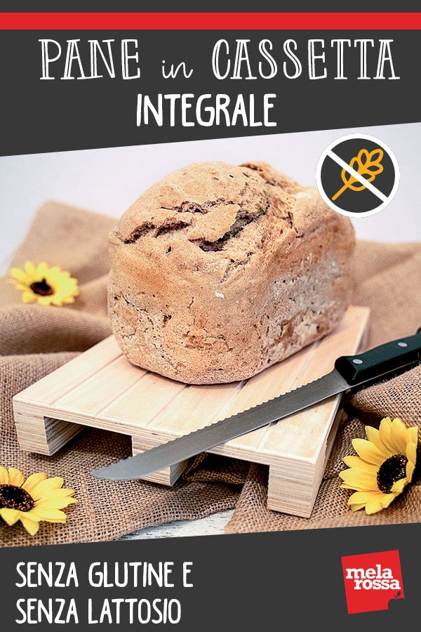 pane in cassetta integrale: video ricetta