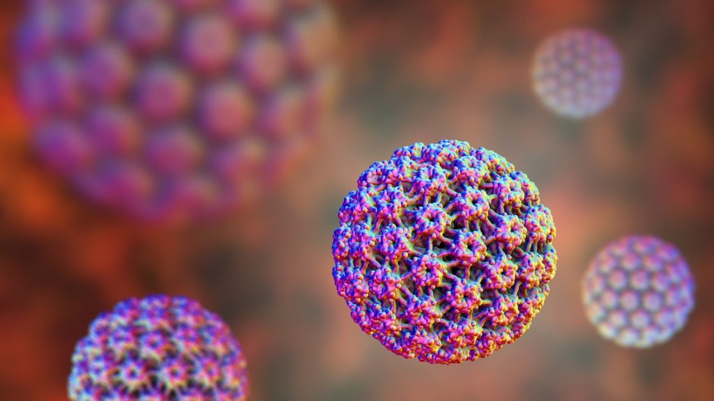 Papilloma virus cos'è, infezione, conseguenze e prevenzione Melarossa