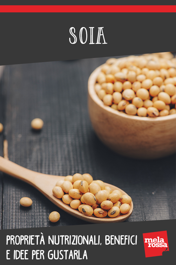 soia: benefici, ricette, valori nutrizionali e controinidicazioni