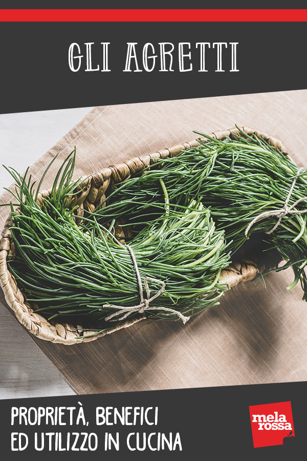 agretti: propreità benefici, valori nutrizionali e usi in cucina