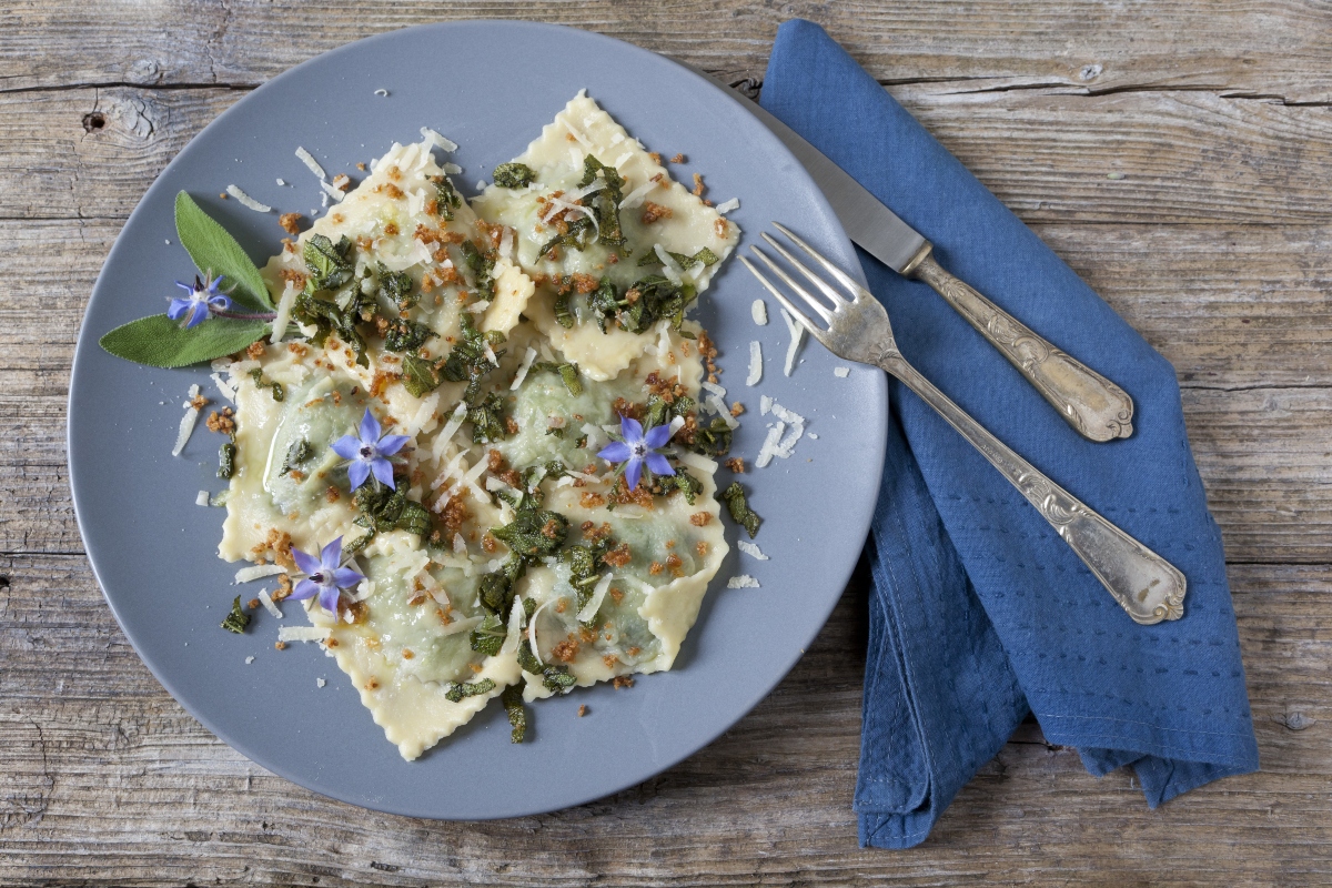 borragine usi in cucina
