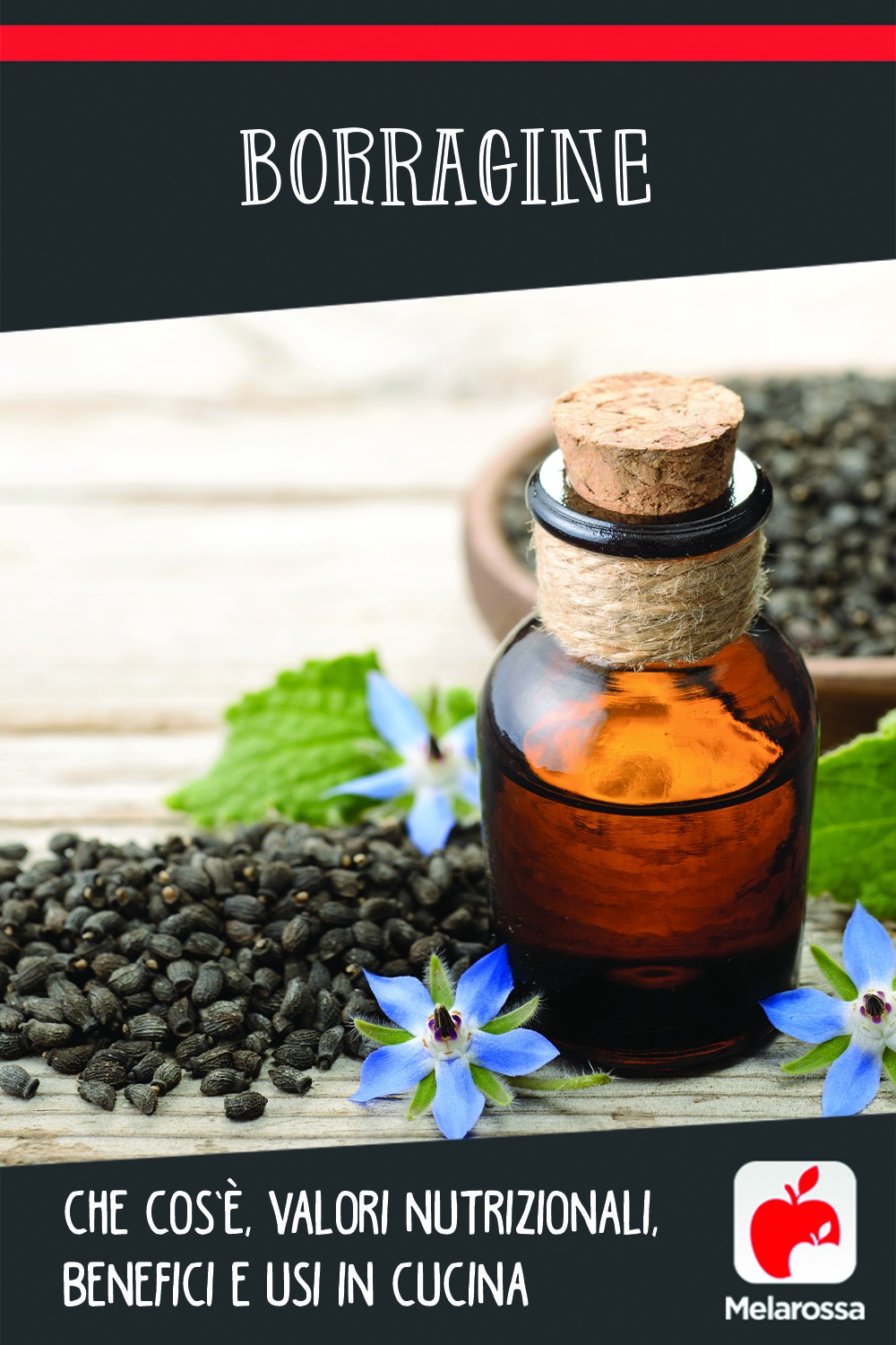 borragine: benefici e valori nutrizionali