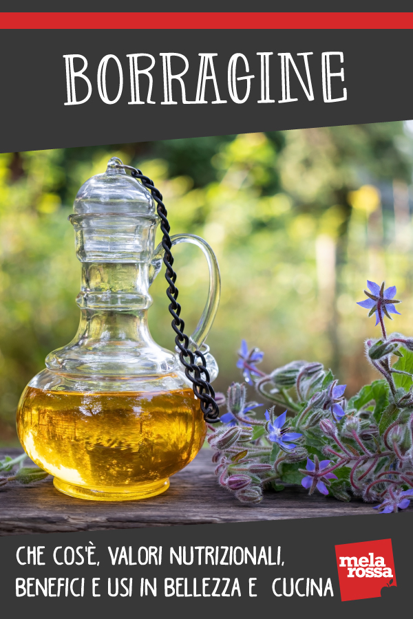 borragine: benefici e valori nutrizionali