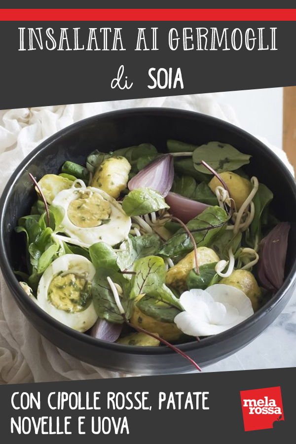 insalata germogli soia