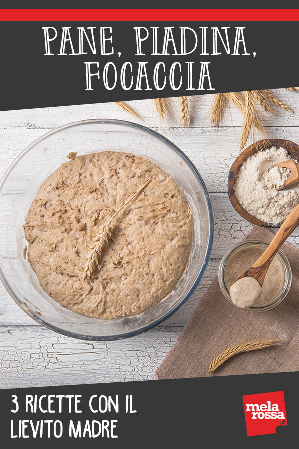 lievito madre ricette pane focaccia piadina