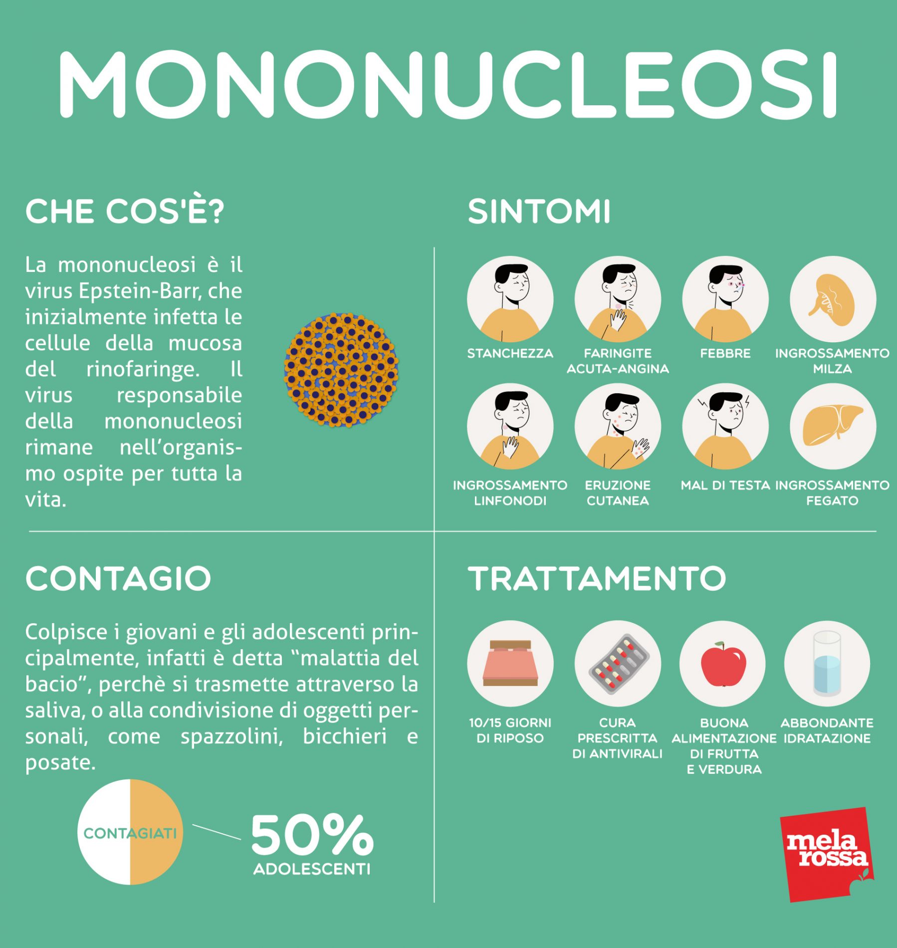 mononucleosi: infografica 