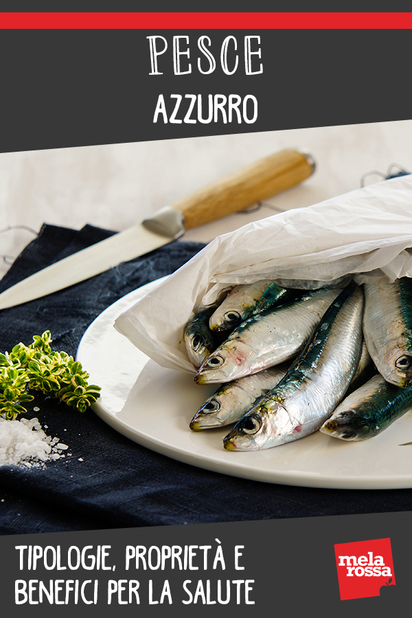 pesce azzurro: cos'è, benefici e ricette