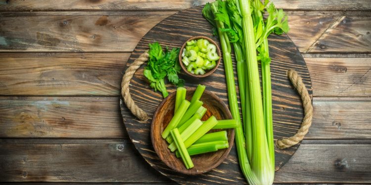 sedano: cos'è, benefici, proprietà, valori nutrizionali, usi in cucina