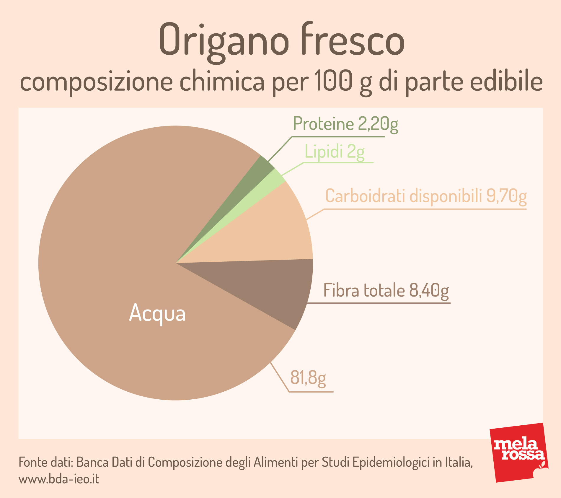 Origano fresco: valori nutrizionali 