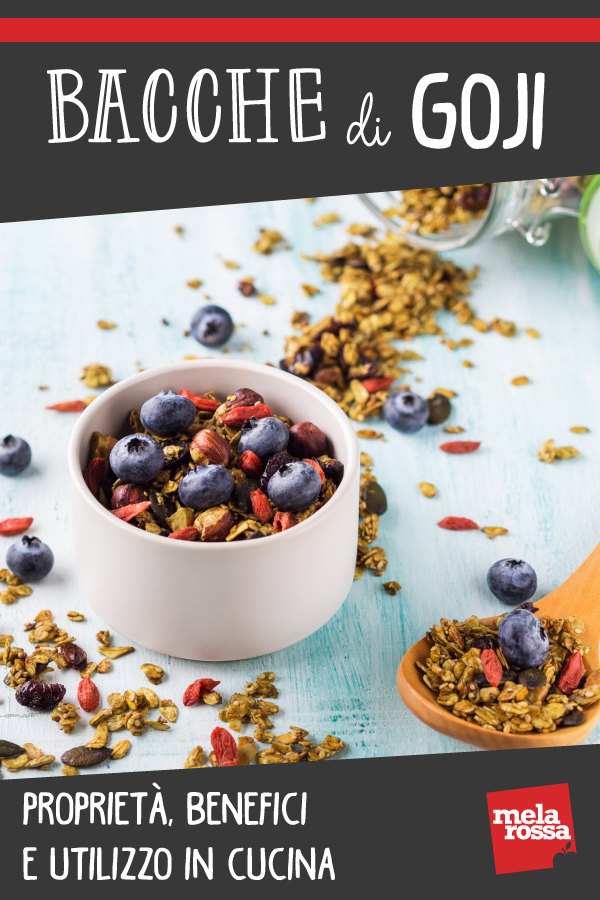 bacche di goji: cosa sono, benefici, proprietà, controindicazioni e usi in cucina
